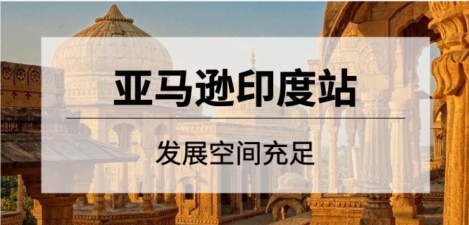 新商机|亚马逊新站点利润这么高？！赶上下一个风口就是个翻盘的机会！