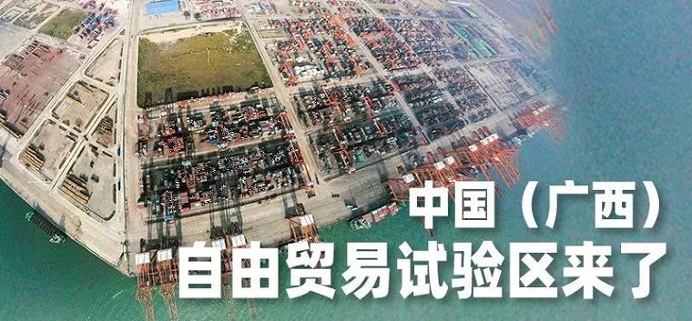 广西自贸试验区加快招商步伐
